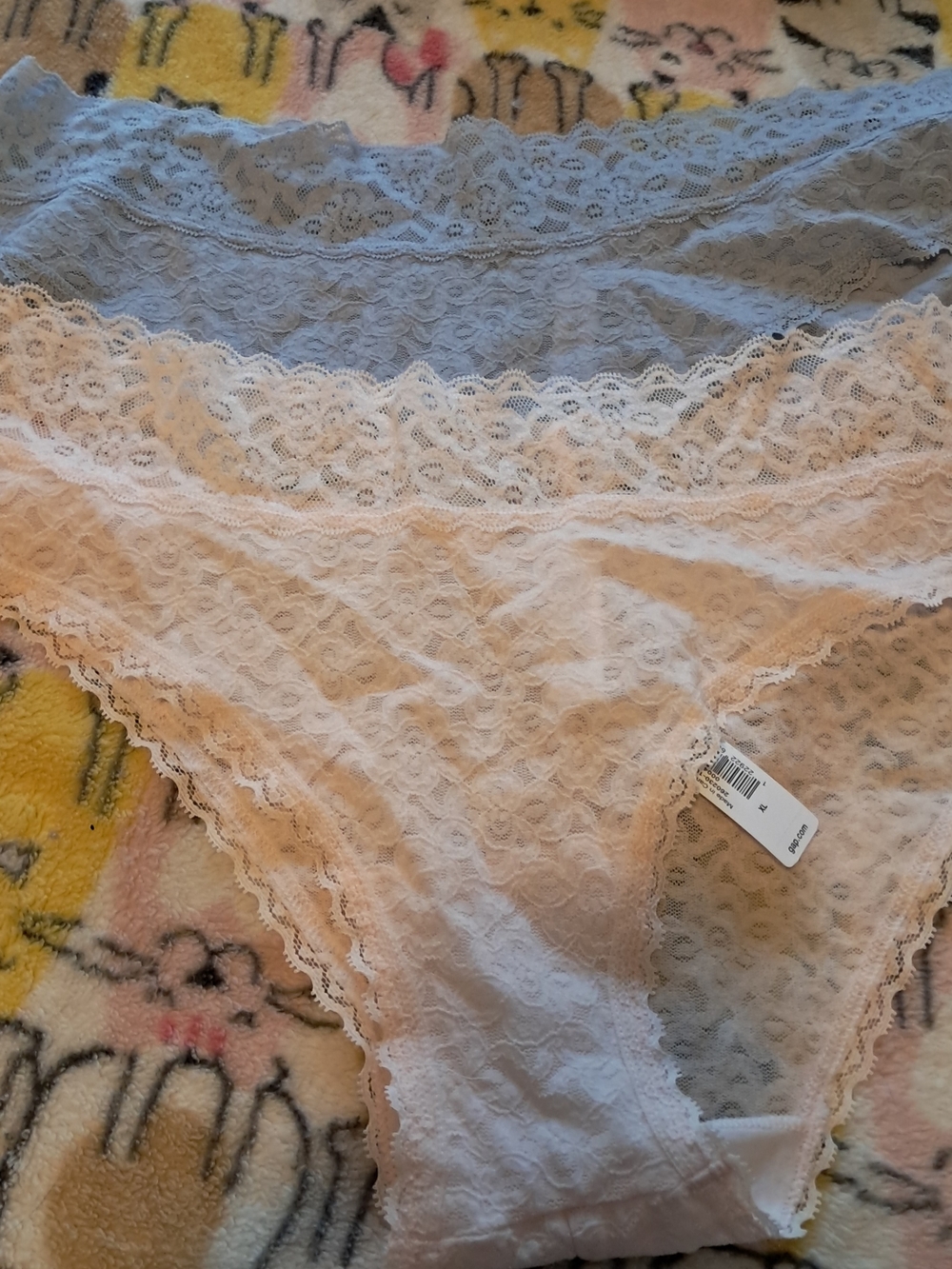 GAP Lace Bikini Panties in Light Blue and Blush - Set of 2